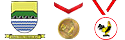 p3k melinda medals